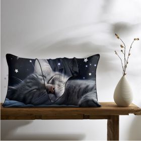 2 Pcs Cats And Starry Sky Art Bedroom Satin Print Soft Skin Friendly Pillowcases Suitable For All Seasons (Color: Black, size: 102x50cm)