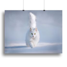 White Kitten Running In Snow Canvas Print or Poster (Type: Poster Print, size: 40" x 26" / 100cm x 65cm (approx))